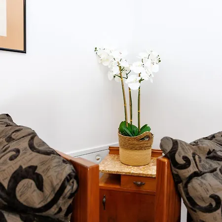 Iveta In - Mittel-dalmatien